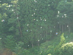 130716 064.jpg